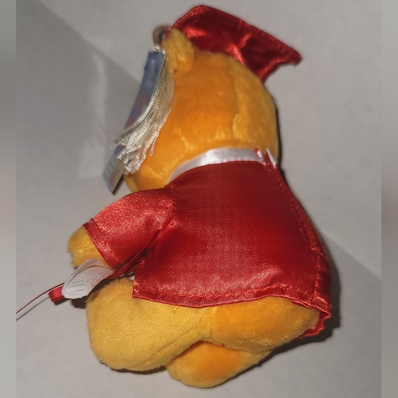 Disney Winnie-the-Pooh graduation bear New tags diploma cap shirt gown tassle - Picture 2 of 8